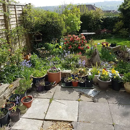 B&B Rowan Tree House 3*