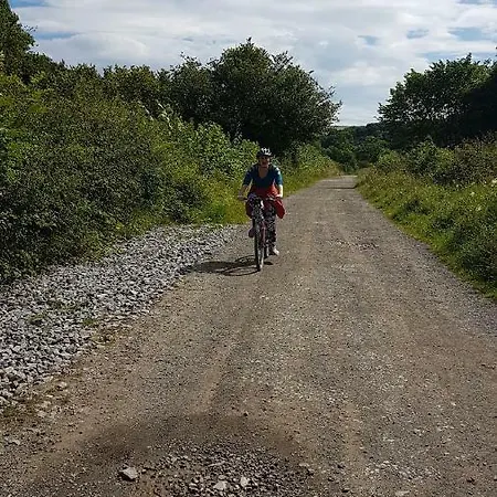 Rowan Tree House Sleights