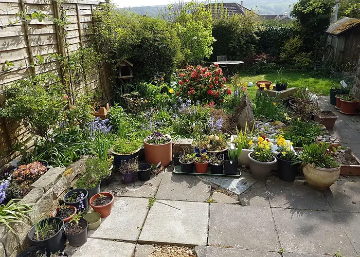 Bed & Breakfast Rowan Tree House 3*