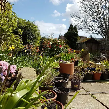 Rowan Tree House 3* Sleights