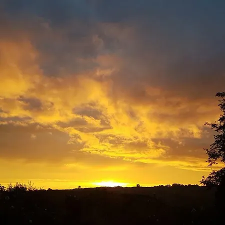 Alojamento de Acomodação e Pequeno-almoço Rowan Tree House