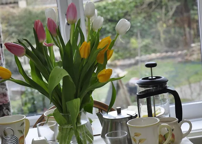 Bed & Breakfast Rowan Tree House 3*