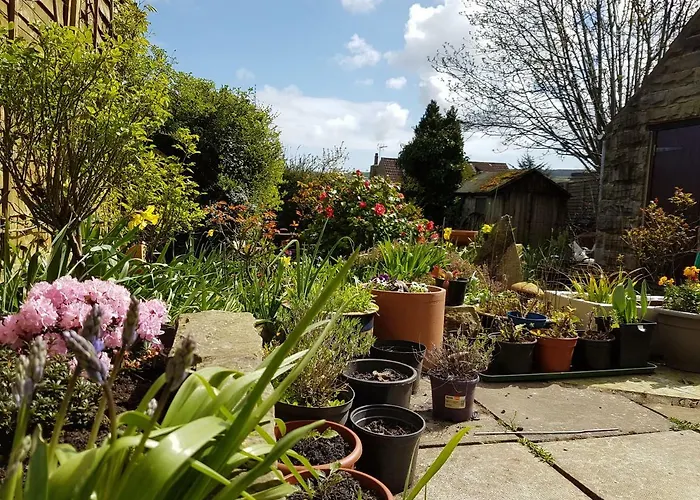 Rowan Tree House 3* Sleights