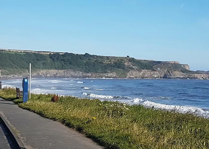 Rowan Tree House Sleights